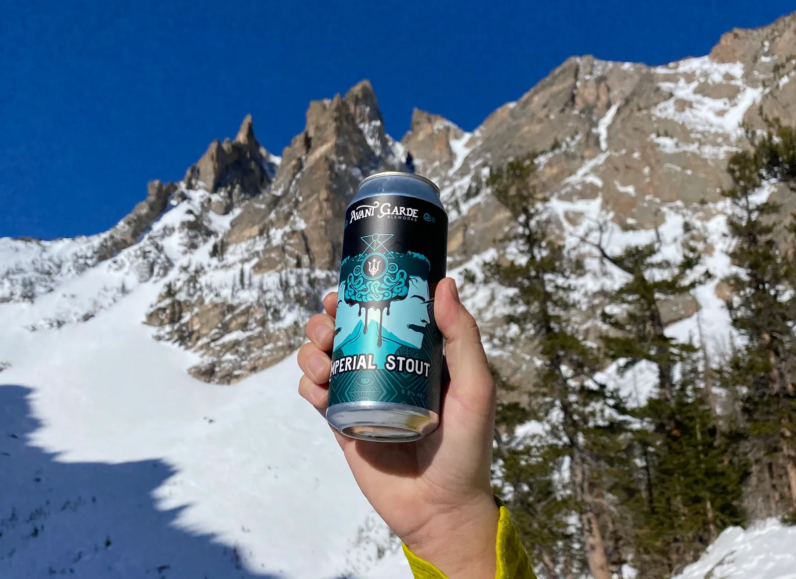 Avant Garde Imperial Stout can held in front of snowy Rocky Mountain peaks